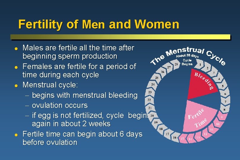 Fertility of Men and Women l l Males are fertile all the time after