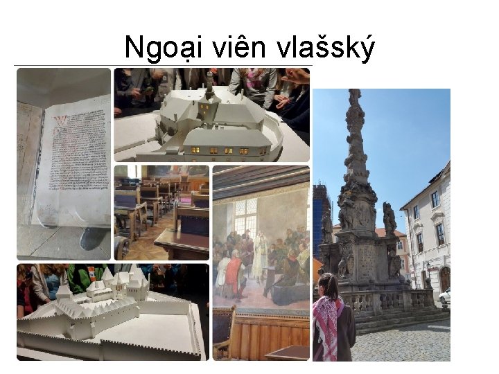 Ngoại viên vlašský 