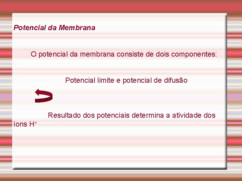 Potencial da Membrana O potencial da membrana consiste de dois componentes: Potencial limite e