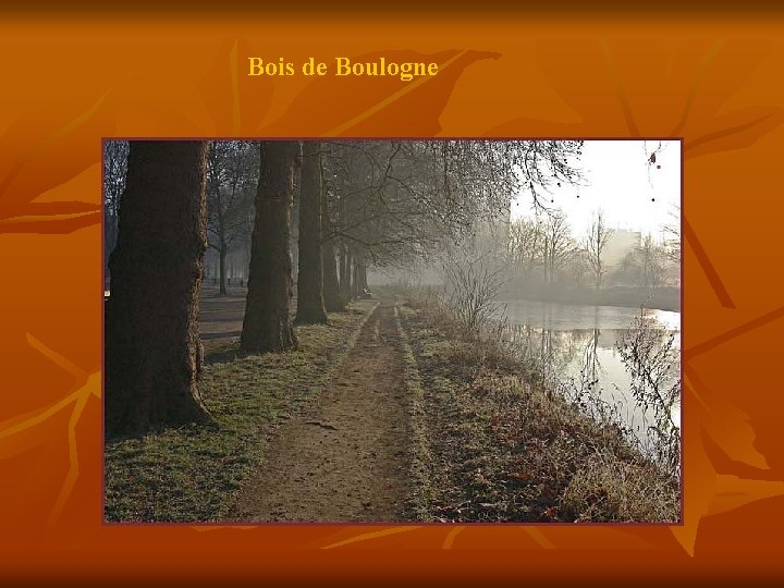 Bois de Boulogne 