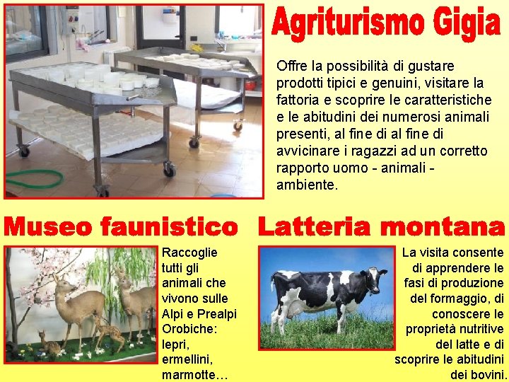 Offre la possibilità di gustare prodotti tipici e genuini, visitare la fattoria e scoprire Offre la possibilità di gustare prodotti tipici e genuini, visitare la fattoria e scoprire