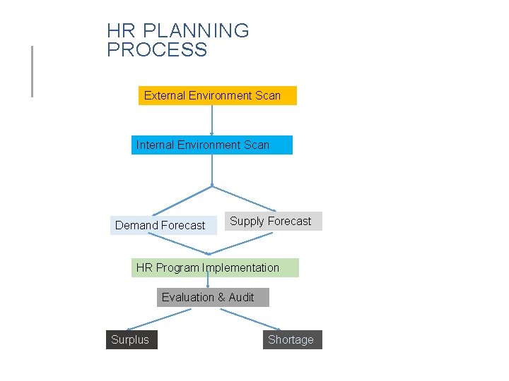 HR PLANNING PROCESS External Environment Scan Internal Environment Scan Demand Forecast Supply Forecast HR