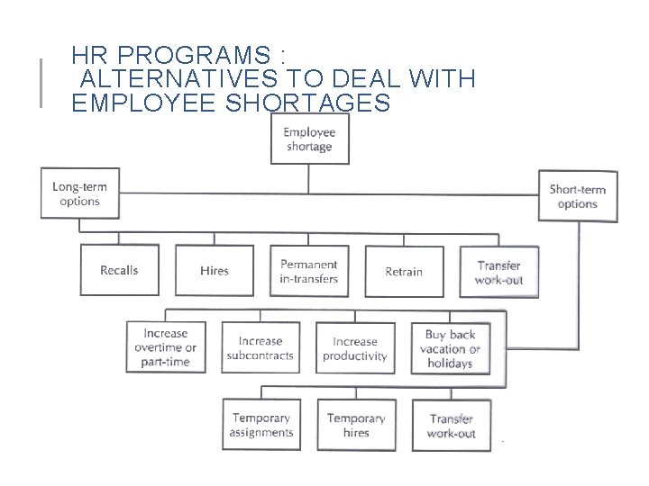 HR PROGRAMS : ALTERNATIVES TO DEAL WITH EMPLOYEE SHORTAGES 