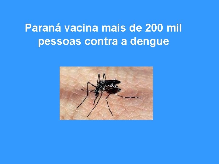 Paraná vacina mais de 200 mil pessoas contra a dengue 