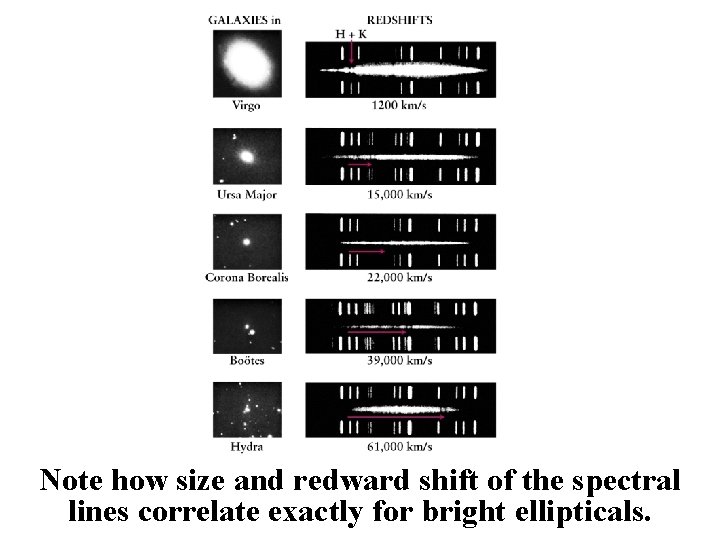 Note how size and redward shift of the spectral lines correlate exactly for bright
