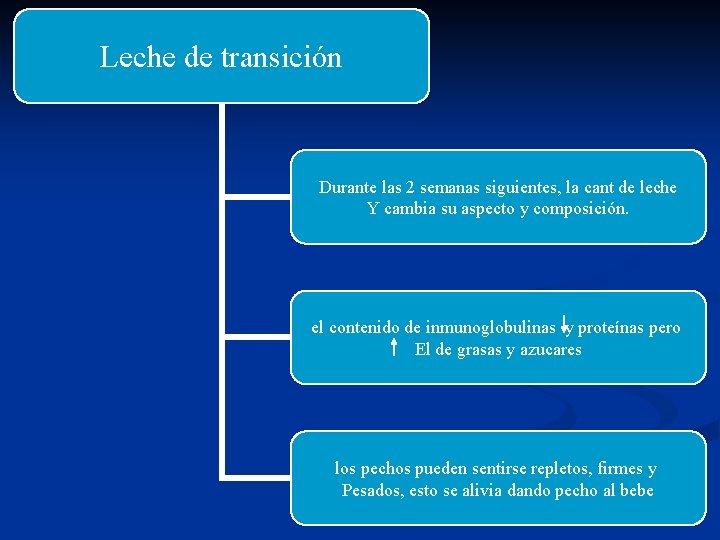 Leche de transición Durante las 2 semanas siguientes, la cant de leche Y cambia