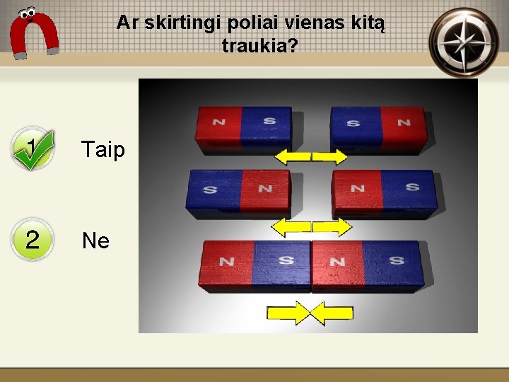 Ar skirtingi poliai vienas kitą traukia? Taip Ne 