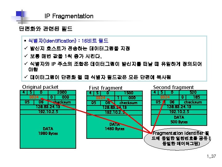 IP Fragmentation 단편화와 관련된 필드 § 식별자(Identification) : 16비트 필드 ü 발신지 호스트가 전송하는