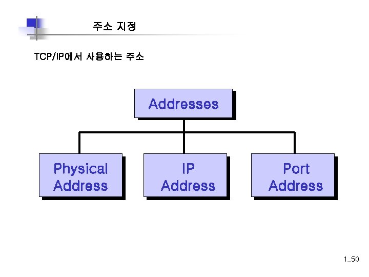 주소 지정 TCP/IP에서 사용하는 주소 Addresses Physical Address IP Address Port Address 1_50 