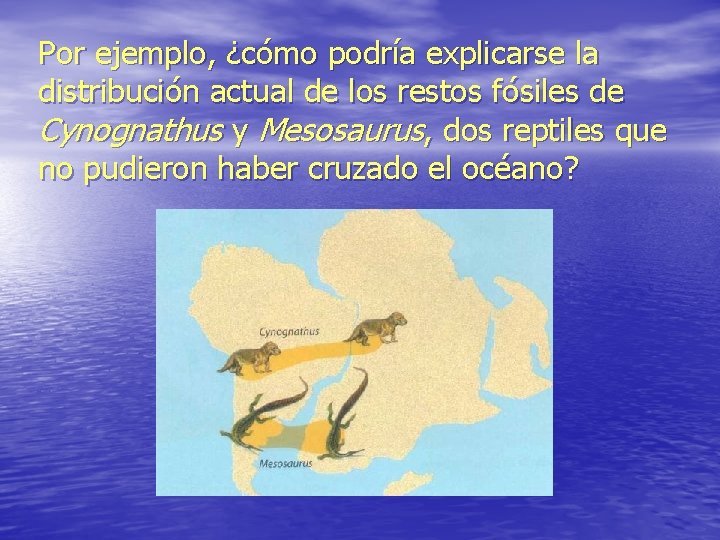 Por ejemplo, ¿cómo podría explicarse la distribución actual de los restos fósiles de Cynognathus