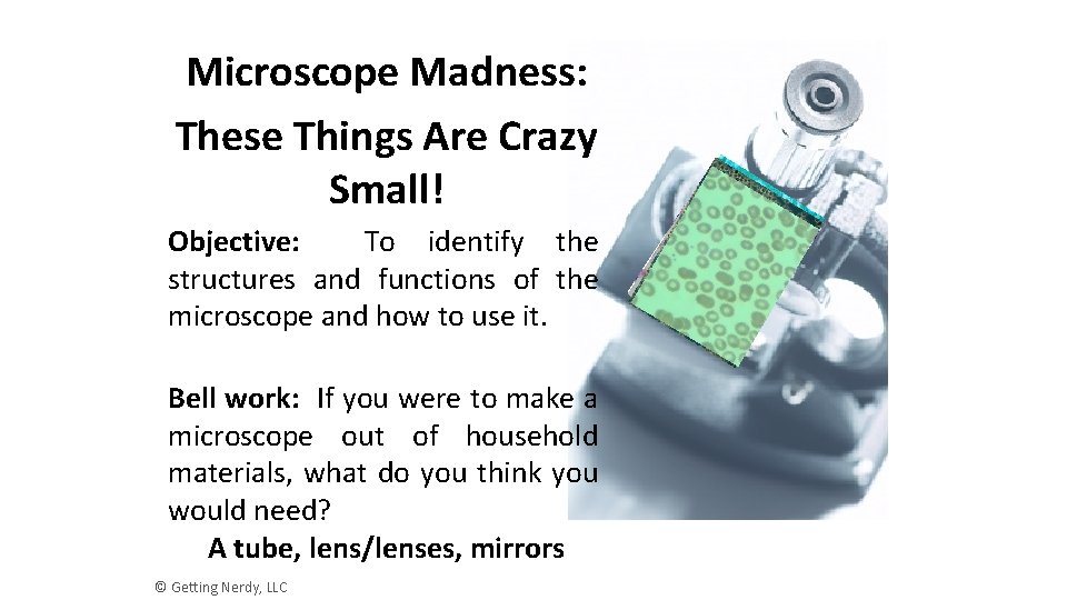 Microscope Madness: These Things Are Crazy Small! Objective: To identify the structures and functions