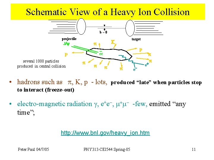 Schematic View of a Heavy Ion Collision b~0 projectile p J/ p several 1000