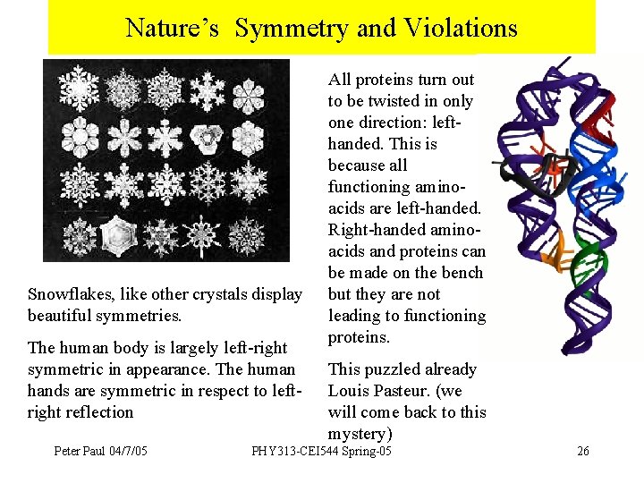 Nature’s Symmetry and Violations Snowflakes, like other crystals display beautiful symmetries. The human body