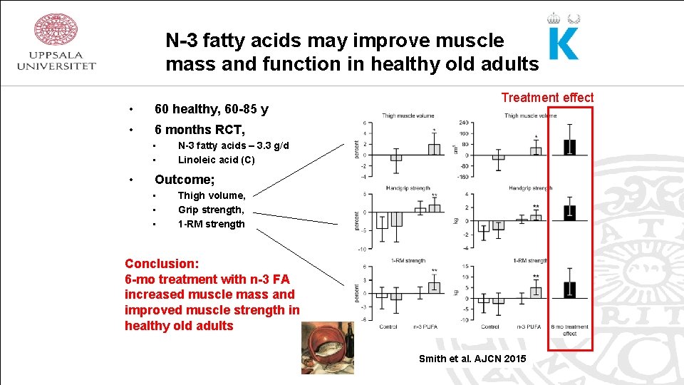 N-3 fatty acids may improve muscle mass and function in healthy old adults •