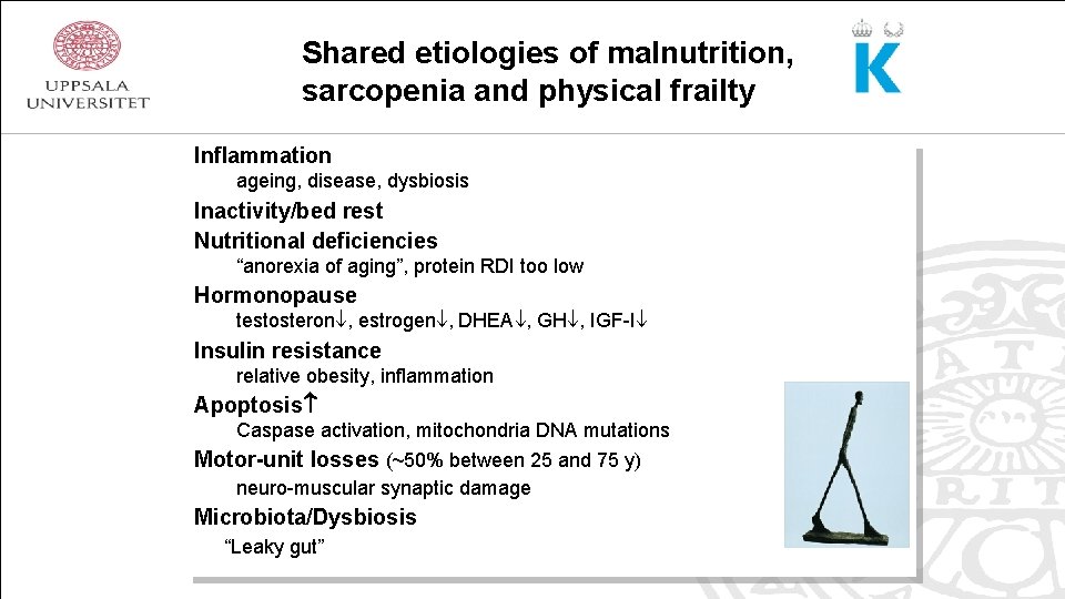 Shared etiologies of malnutrition, sarcopenia and physical frailty Inflammation ageing, disease, dysbiosis Inactivity/bed rest
