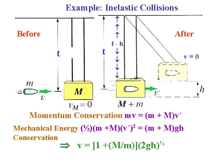 Example: Inelastic Collisions Before ℓ ℓ ℓ-h a After a v=0 a a a