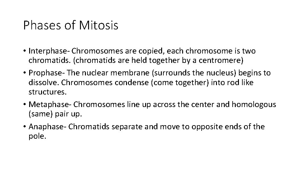 Phases of Mitosis • Interphase- Chromosomes are copied, each chromosome is two chromatids. (chromatids