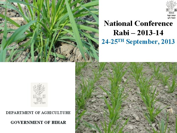 National Conference Rabi – 2013 -14 24 -25 TH September, 2013 DEPARTMENT OF AGRICULTURE