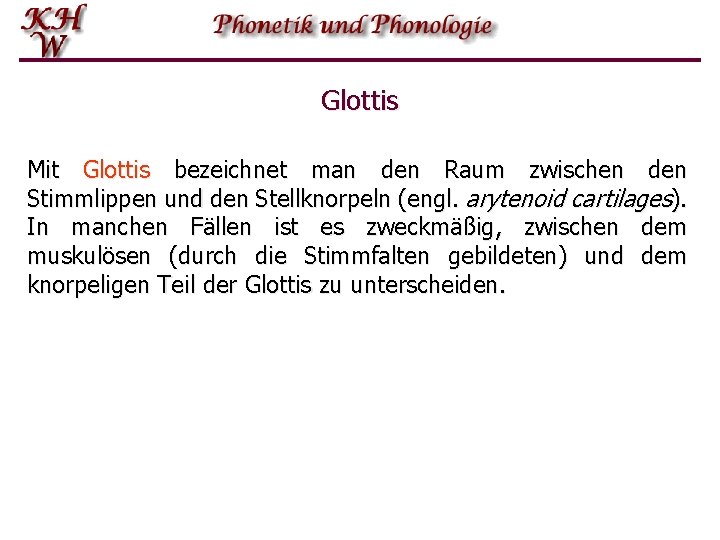 Glottis Mit Glottis bezeichnet man den Raum zwischen den Stimmlippen und den Stellknorpeln (engl.