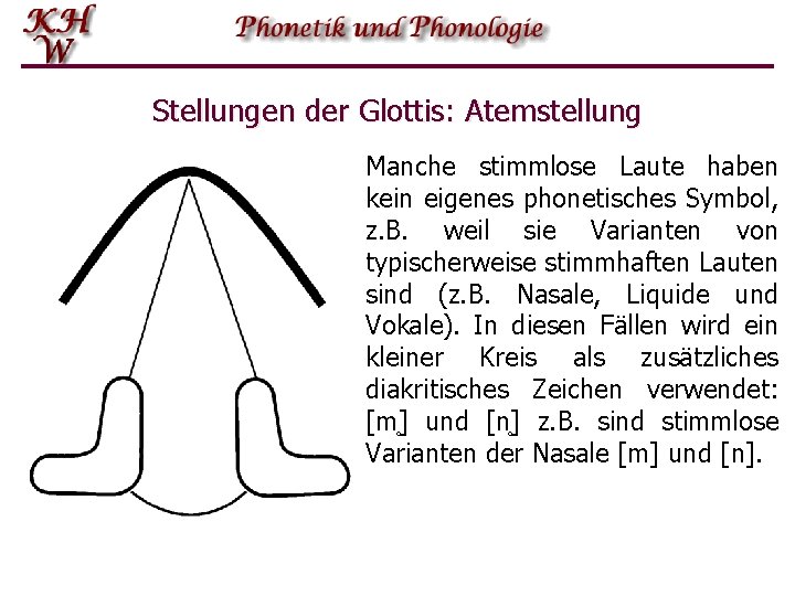 Stellungen der Glottis: Atemstellung Manche stimmlose Laute haben kein eigenes phonetisches Symbol, z. B.