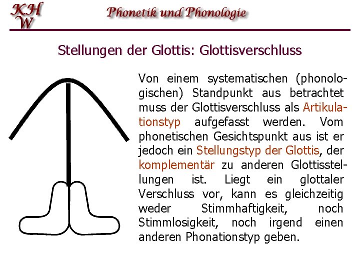 Stellungen der Glottis: Glottisverschluss Von einem systematischen (phonologischen) Standpunkt aus betrachtet muss der Glottisverschluss