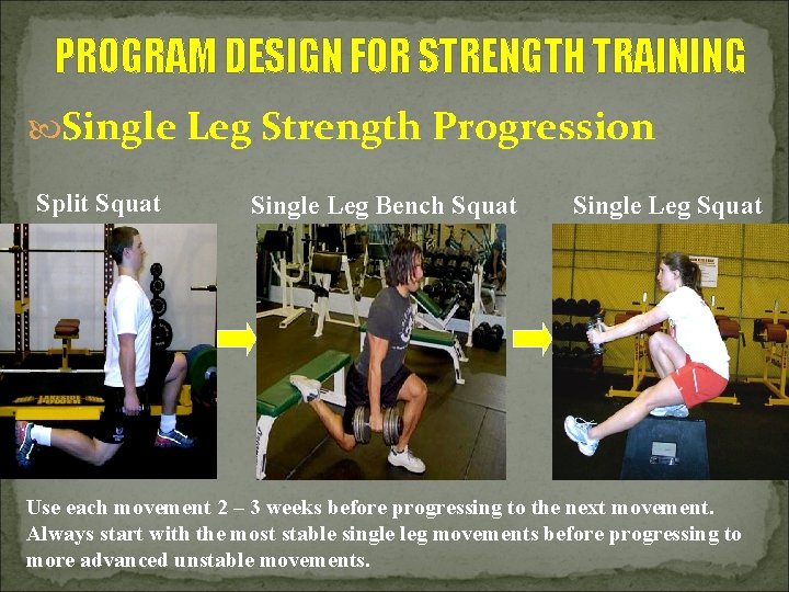 PROGRAM DESIGN FOR STRENGTH TRAINING Single Leg Strength Progression Split Squat Single Leg Bench