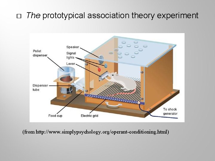 � The prototypical association theory experiment (from http: //www. simplypsychology. org/operant-conditioning. html) 
