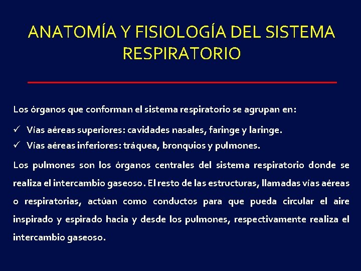 ANATOMÍA Y FISIOLOGÍA DEL SISTEMA RESPIRATORIO Los órganos que conforman el sistema respiratorio se