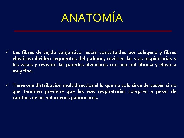 ANATOMÍA ü Las fibras de tejido conjuntivo están constituidas por colágeno y fibras elásticas: