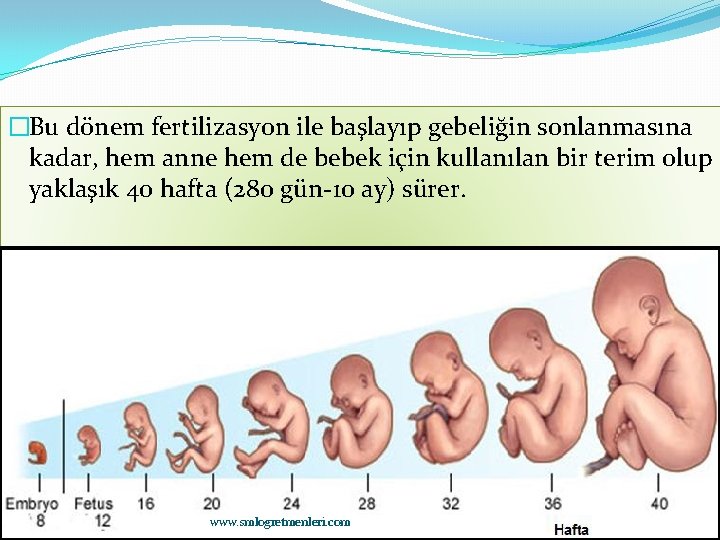 �Bu dönem fertilizasyon ile başlayıp gebeliğin sonlanmasına kadar, hem anne hem de bebek için