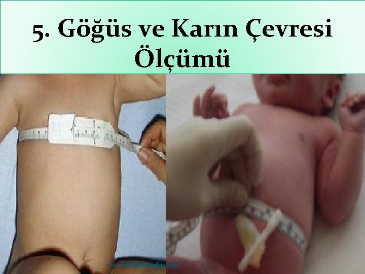 5. Göğüs ve Karın Çevresi Ölçümü www. smlogretmenleri. com 