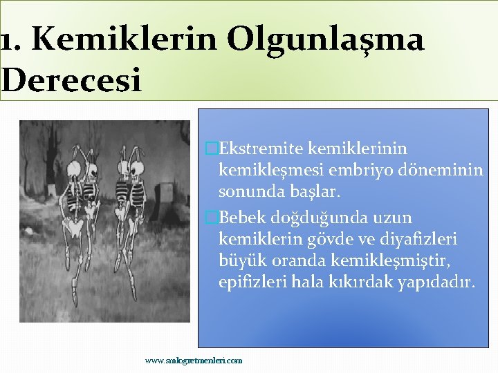 1. Kemiklerin Olgunlaşma Derecesi �Ekstremite kemiklerinin kemikleşmesi embriyo döneminin sonunda başlar. �Bebek doğduğunda uzun