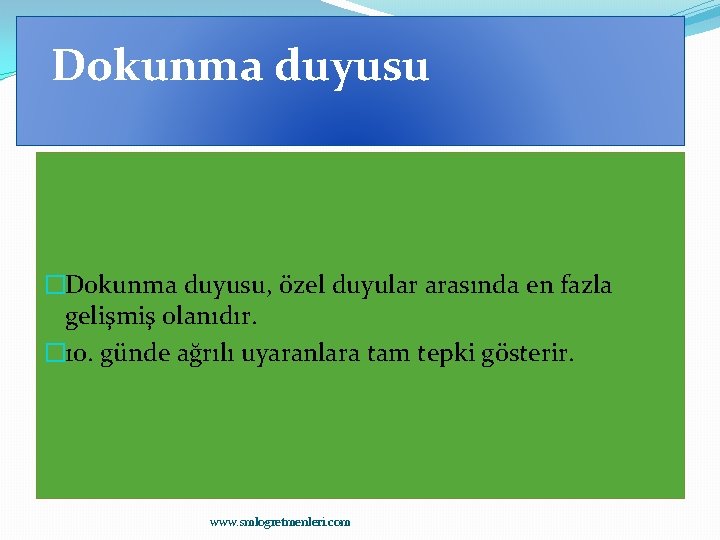 Dokunma duyusu �Dokunma duyusu, özel duyular arasında en fazla gelişmiş olanıdır. � 10. günde