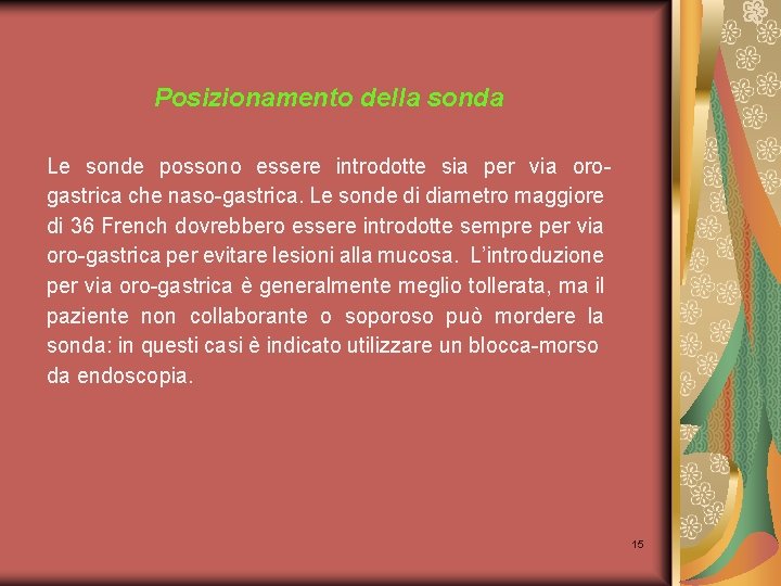 Posizionamento della sonda Le sonde possono essere introdotte sia per via orogastrica che naso-gastrica.