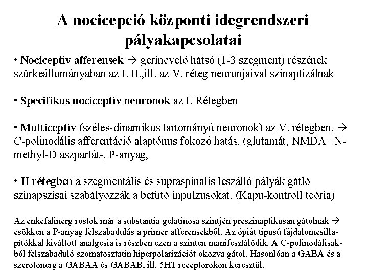 A nocicepció központi idegrendszeri pályakapcsolatai • Nociceptív afferensek gerincvelő hátsó (1 -3 szegment) részének