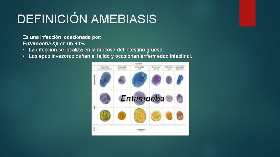 DEFINICIÓN AMEBIASIS Es una infección ocasionada por: Entamoeba sp en un 90%. • La