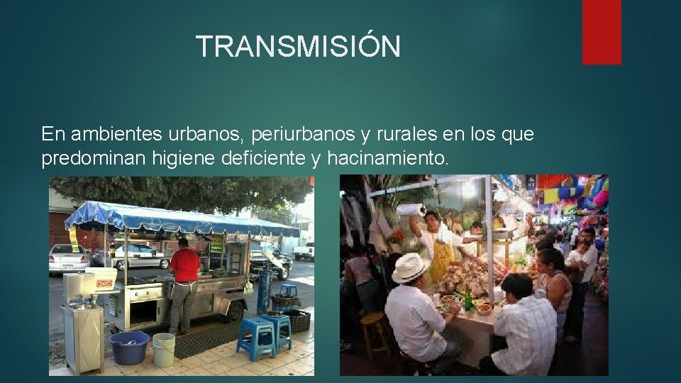 TRANSMISIÓN En ambientes urbanos, periurbanos y rurales en los que predominan higiene deficiente y