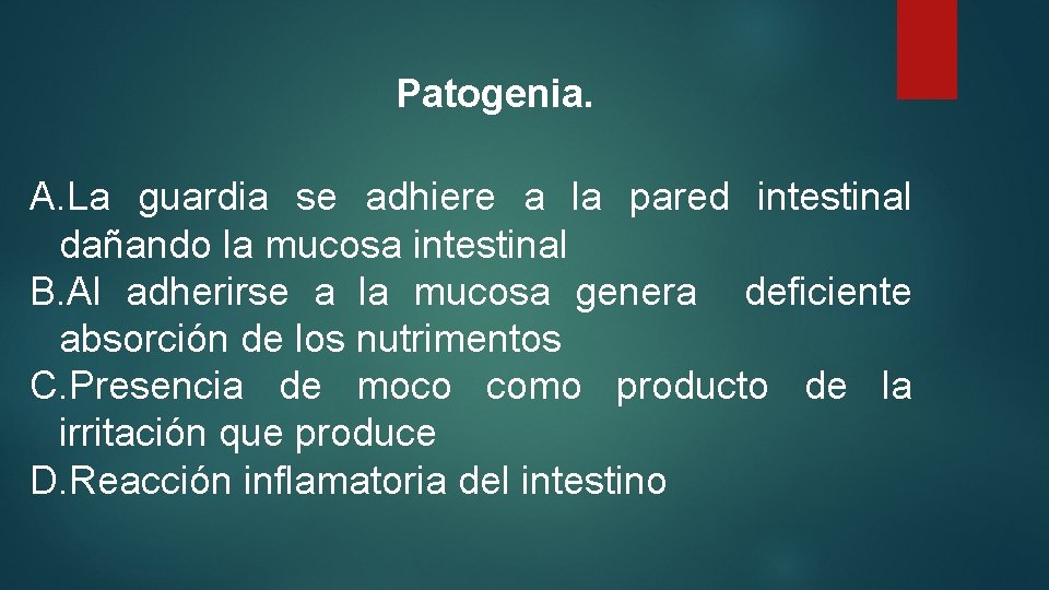 Patogenia. A. La guardia se adhiere a la pared intestinal dañando la mucosa intestinal