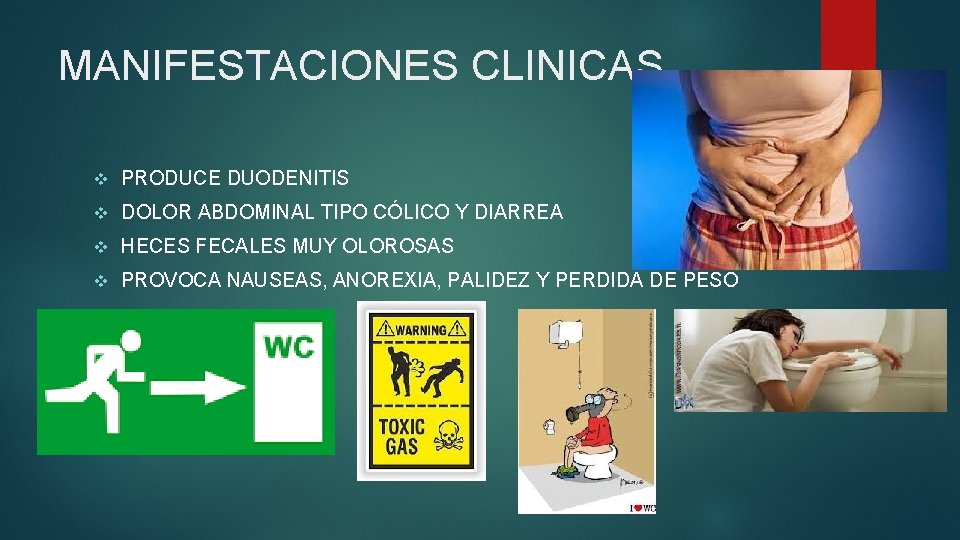 MANIFESTACIONES CLINICAS v PRODUCE DUODENITIS v DOLOR ABDOMINAL TIPO CÓLICO Y DIARREA v HECES