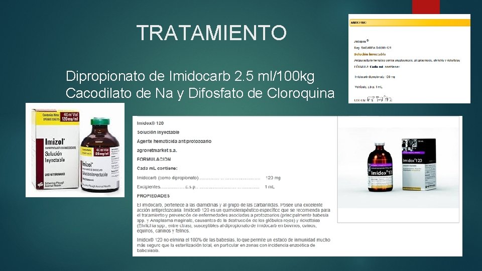 TRATAMIENTO Dipropionato de Imidocarb 2. 5 ml/100 kg Cacodilato de Na y Difosfato de