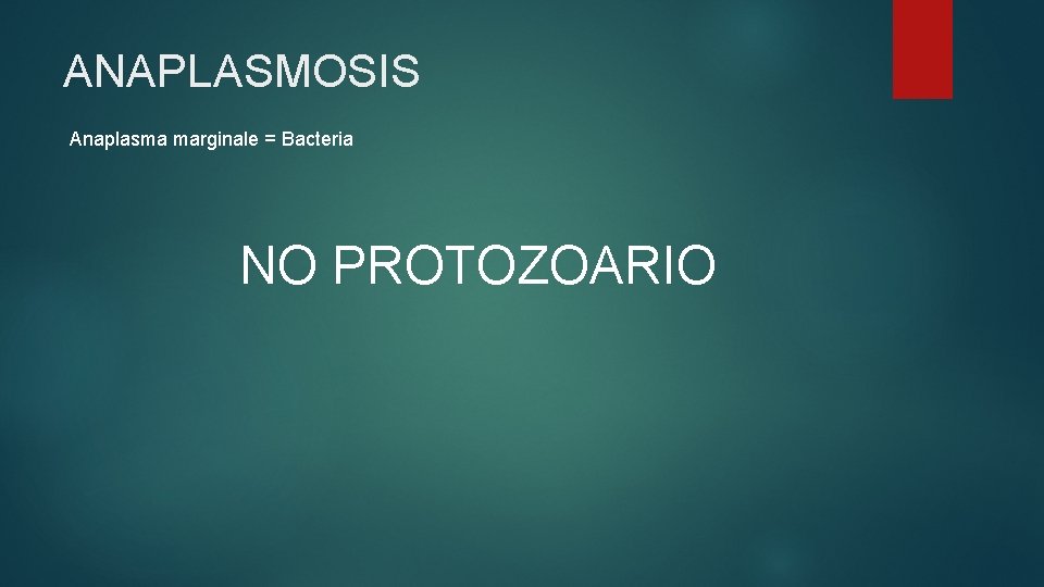 ANAPLASMOSIS Anaplasma marginale = Bacteria NO PROTOZOARIO 