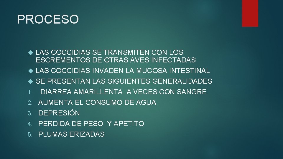 PROCESO 1. 2. 3. 4. 5. LAS COCCIDIAS SE TRANSMITEN CON LOS ESCREMENTOS DE