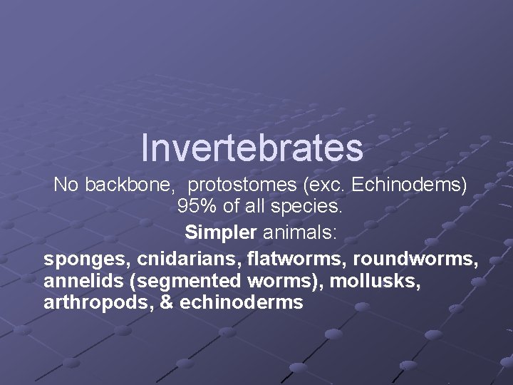 Invertebrates No backbone, protostomes (exc. Echinodems) 95% of all species. Simpler animals: sponges, cnidarians, Invertebrates No backbone, protostomes (exc. Echinodems) 95% of all species. Simpler animals: sponges, cnidarians,