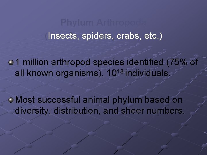 Phylum Arthropoda (Insects, spiders, crabs, etc. ) 1 million arthropod species identified (75% of Phylum Arthropoda (Insects, spiders, crabs, etc. ) 1 million arthropod species identified (75% of