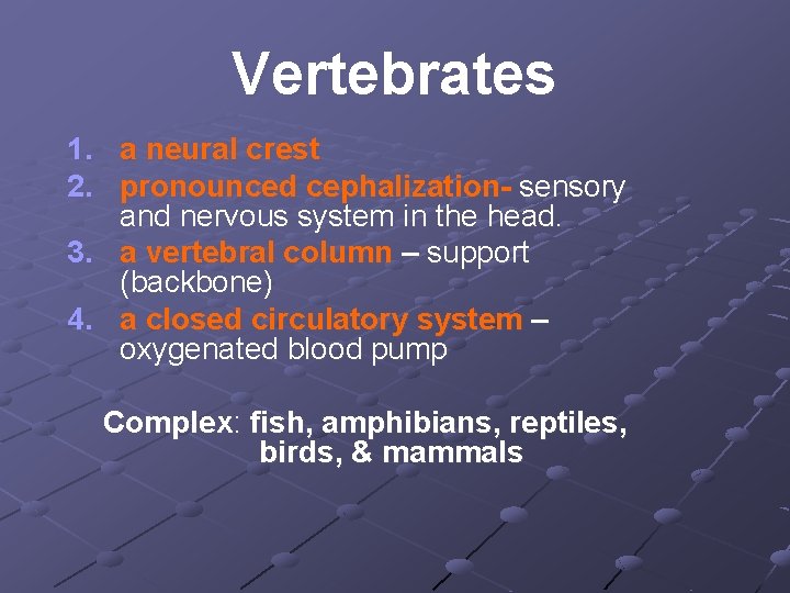 Vertebrates 1. a neural crest 2. pronounced cephalization- sensory and nervous system in the Vertebrates 1. a neural crest 2. pronounced cephalization- sensory and nervous system in the