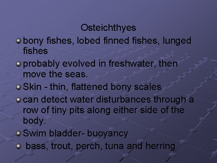 Osteichthyes bony fishes, lobed finned fishes, lunged fishes probably evolved in freshwater, then move Osteichthyes bony fishes, lobed finned fishes, lunged fishes probably evolved in freshwater, then move