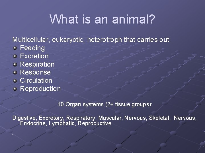 What is an animal? Multicellular, eukaryotic, heterotroph that carries out: Feeding Excretion Respiration Response What is an animal? Multicellular, eukaryotic, heterotroph that carries out: Feeding Excretion Respiration Response