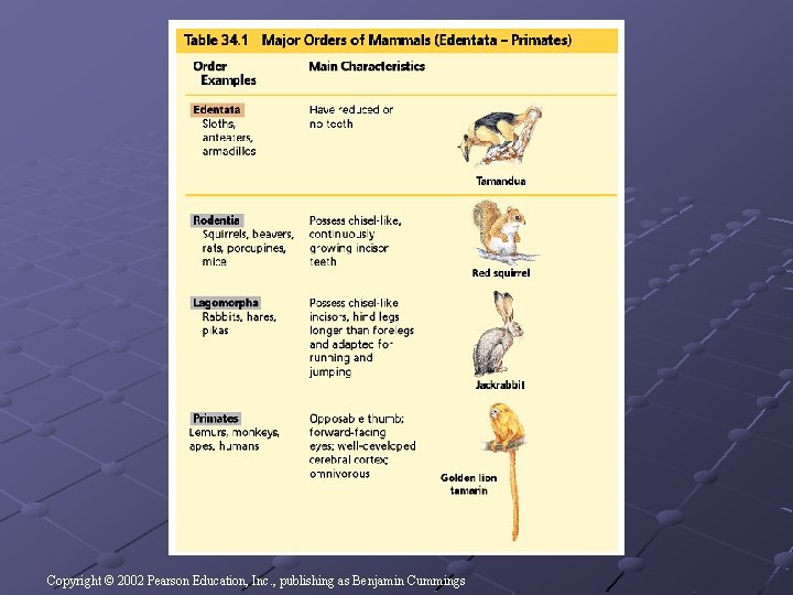 Copyright © 2002 Pearson Education, Inc. , publishing as Benjamin Cummings Copyright © 2002 Pearson Education, Inc. , publishing as Benjamin Cummings