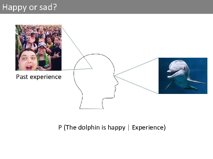 Happy or sad? Past experience P (The dolphin is happy | Experience) 