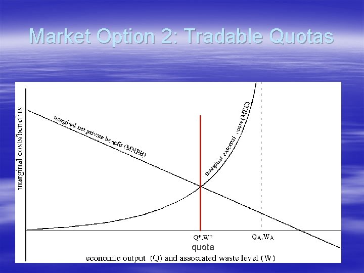 Market Option 2: Tradable Quotas quota Market Option 2: Tradable Quotas quota